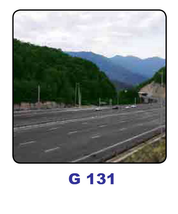 G131